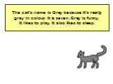 The cat’s name is Grey because it’s really grey in colour. It is seven. Grey is funny. It likes to play. It also likes to sleep.
