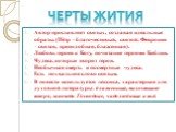 Автор прославляет святых, создавая идеальные образы. (Пётр - благочестивый, святой; Феврония – святая, преподобная, блаженная). Любовь героев к Богу, почитание героями Библии. Чудеса, которые творят герои. Необычная смерть и посмертные чудеса. Есть похвальное слово святым. В повести используется лек