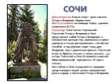 Дата открытия: 8 июля 2009 г. (день памяти Петра и Февронии Муромских). Место установки: на площади перед зданием сочинского ЗАГСа. Скульптор: Константин Чернявский. Памятник Петру и Февронии в Сочи представляет собой Петра и Февронию в монашеских одеждах под деревьями, в кроне деревьев в гнезде рас