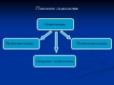 Поколения символистов. Предсимволисты. Старшие символисты. Младосимволисты Символисты