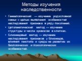 Методы изучения наследственности. Генеалогический — изучение родословной семьи с целью выявления особенностей наследования признака в ряду поколений. Цитогенетический метод — изучение структуры и числа хромосом в клетках. Близнецовый метод — изучение наследования признаков у близнецов, влияния генот