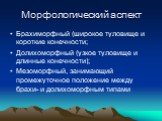 Морфологический аспект. Брахиморфный (широкое туловище и короткие конечности; Долихоморфный (узкое туловище и длинные конечности); Мезоморфный, занимающий промежуточное положение между брахи- и долихоморфным типами