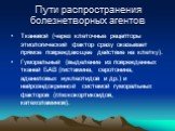 Пути распространения болезнетворных агентов. Тканевой (через клеточные рецепторы этиологический фактор сразу оказывает прямое повреждающее действие на клетку). Гуморальный (выделение из поврежденных тканей БАВ (гистамина, серотонина, адениловых нуклеотидов и др.) и нейроэндокринной системой гумораль