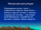 Механизм регуляции. Повреждение органа, ткани → раздражение нервных рецепторов → реакции нервной системы + реакции эндокринной системы → регуляция кровообращения, специфических функций, трофики, обмена веществ.