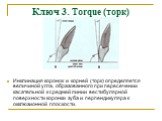 Ключ 3. Torque (торк). Инклинация коронок и корней (торк) определяется величиной угла, образованного при пересечении касательной к средней линии вестибулярной поверхности коронки зуба и перпендикуляра к окклюзионной плоскости.