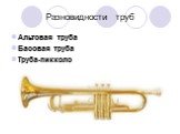 Разновидности труб. Альтовая труба Басовая труба Труба-пикколо