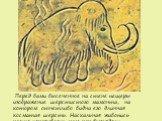 Перед вами высеченное на стене пещеры изображение шерстистого мамонта, на котором отчетливо видна его длинная косматая шерсть. Наскальная живопись часто показывает нам как выглядели доисторические животные.