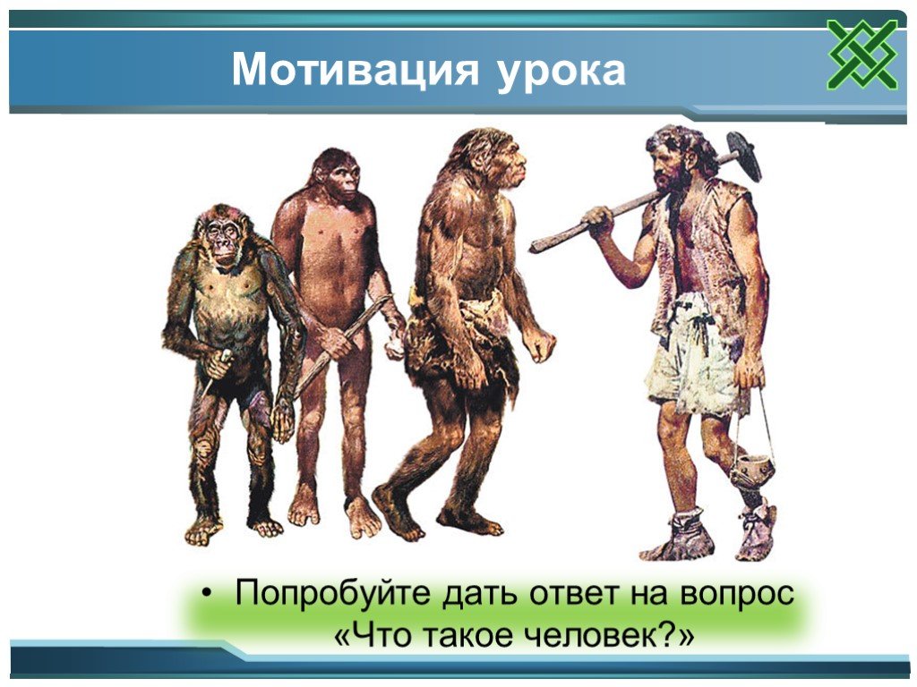 Примеры древнейших людей. Виды древнего человека. Одежда древнего человека. Первобытные люди Эволюция. Древние люди виды.