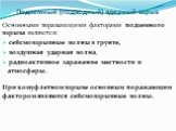 Основными поражающими факторами подземного взрыва являются: сейсмовзрывные волны в грунте, воздушная ударная волна, радиоактивное заражение местности и атмосферы. При комуфлетном взрыве основным поражающим фактором являются сейсмовзрывные волны.