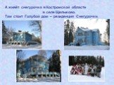 А живёт снегурочка в Костромской области в селе Щелыково. Там стоит Голубой дом – резиденция Снегурочки.