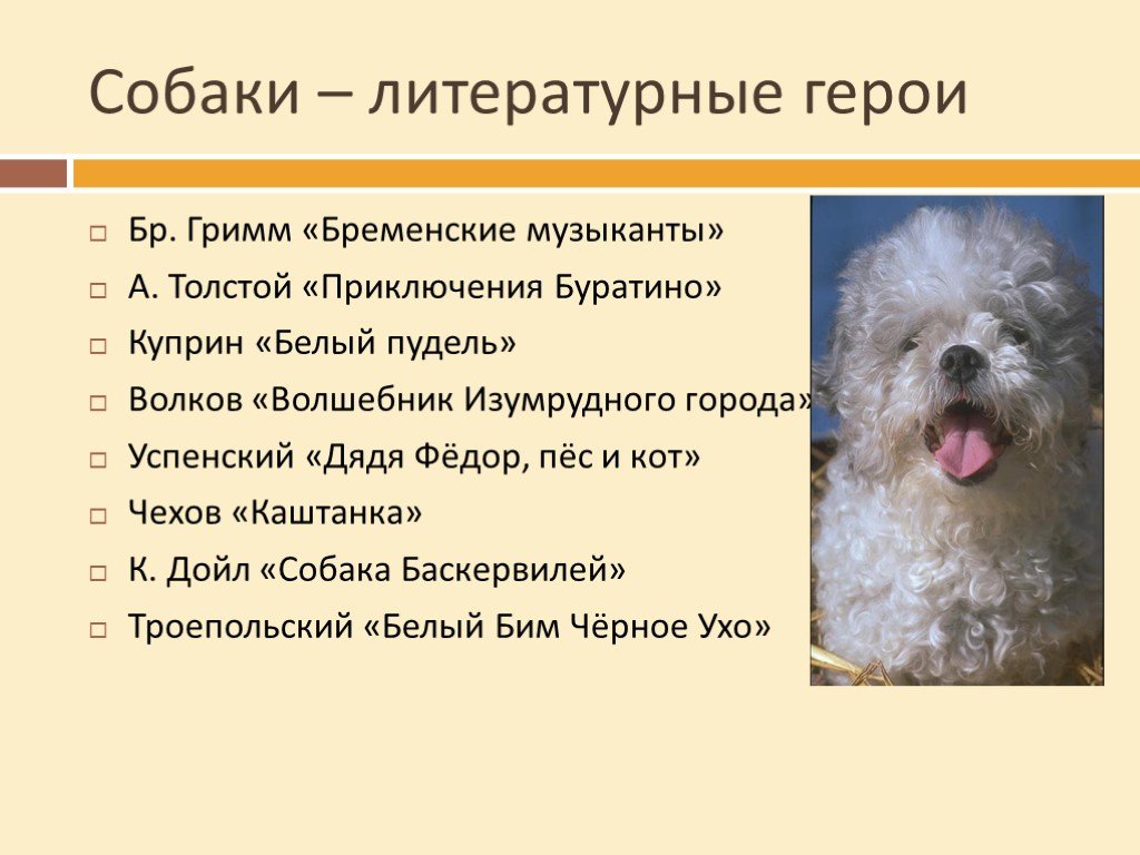 Белый пудель план рассказа. Собаки литературные герои. Собака герой литературных произведений. Главный герой с собакой. Собачка литературный герой.