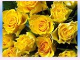 Желтые розы указывают на дружеское расположение и не более того.