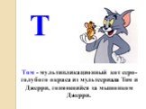 Т. Том - мультипликационный кот серо-голубого окраса из мультсериала Том и Джерри, гоняющийся за мышонком Джерри.