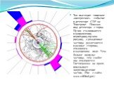 Так выглядит типичное «интересное» событие в детекторе CDF на Тэватроне. Показан вид детектора с торца. Пучки сталкиваются в направлении, перпендикулярном рисунку, а рожденные частицы разлетаются в разные стороны, отклоняясь в магнитном поле. Чем больше импульс частицы, тем слабее она отклоняется. Г