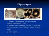 5. Кристалл, образовавшийся после прослушивания тяжелого металлического рока. 6. Кристалл после воздействия слов «Ты — дурак» очень похож на кристалл после воздействия музыки “тяжелого рока”. 7. Слово «Ангел». 8. Слово «Дьявол».