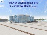 Малая ледовая арена в Сочи «Шайба» (макет)