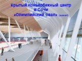 Крытый конькобежный центр в Сочи «Олимпийский овал» (макет)