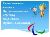 Талисманами зимних Паралимпийских игр 2014 года стали Лучик и Снежинка
