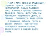 Мозг и тело связаны следующим образом: правое полушарие контролирует левую половину тела, а левое - правую половину. Тренирую левую часть тела, мы тренируем творческую долю, а правую - логическую долю мозга. С рождения ребенок почти в равной степени (гармонично) пользуется возможностями, заложенными