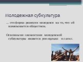 Молодежная субкультура. … это форма реакции молодежи на то, что ей навязывается обществом. Основными элементами молодежной субкультуры является рок-музыка и сленг.