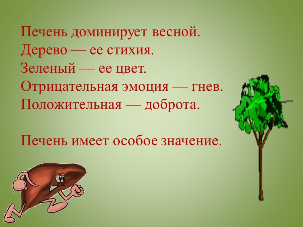 Имеет особое значение. Печень стихия дерево. Весна стихия дерево печень. Весна стихия дерево.