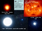 Бетельгейзе – червона зоря-гігант. Альтаїр – гаряча, біла зоря. Сіріус - найяскравіша зоря на небі, подвійна зоря. Сонце — центральне і наймасивніше тіло Сонячної системи. Зорі – це небесні тіла, що складаються з розжареного газу і випромінюють світло і тепло.