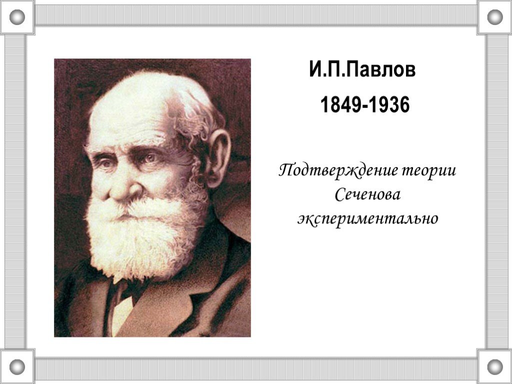 Открытия и п павлова. Павлов и.п. (1849-1936). Павлов 1849.