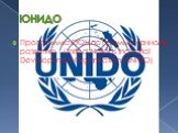 ЮНИДО. Программа ООН по промышленному развитию - United Nations Industrial Development Organisation (UNIDO)