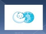 Международные организации и конференции по охране окружающей среды Слайд: 39
