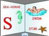 STAR SEA-HORSE SWIM 19