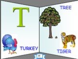 TURKEY TIGER T TREE 20
