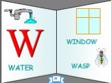WATER WASP W WINDOW 23