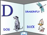 DOG DRAGONFLY DUCK 4
