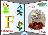 FLOWERS FISH F FALL 6
