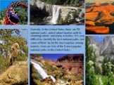 Currently in the United States there are 58 national parks, which attract tourists with its charming nature and many activities. It is very difficult to identify the best national parks, but some of them by far the most popular among tourists. Here are lists of the 5 most popular national parks in t