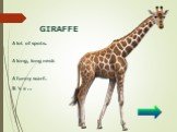 GIRAFFE. A lot of spots. A long, long neck A funny scarf. It ‘s a …
