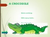 A CROCODILE. Green and long With many teeth. Beautiful smile - It`s …