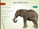 AN ELEPHANT. A very long nose. It grows and grows. Не is huge and likes fun. It is …
