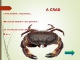 A CRAB. Lives in seas and rivers.. His hands are like two pincers. As round as a cab. Who is it? - It is …