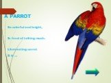 A PARROT. So colorful and bright, Is fond of talking much. Likes eating carrot It is …