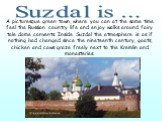 A picturesque green town, where you can at the same time feel the Russian country life and enjoy walks around fairy tale dome convents. Inside Suzdal the atmosphere is as if nothing had changed since the nineteenth century, goats, chicken and cows graze freely next to the Kremlin and monasteries. Su