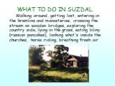 WHAT TO DO IN SUZDAL. Walking around, getting lost, entering in the kremlins and monasteries, crossing the stream on wooden bridges, exploring the country side, lying in the grass, eating bliny (russian pancakes), looking what's inside the churches, horse riding, breathing fresh air.
