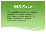 MS Excel. Microsoft Office Excel – компьютерная программа, способная создавать электронные таблицы, хранить в них данные, производить сложные математические расчеты.