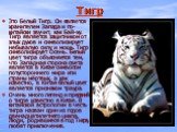 Тигр. Это Белый Тигр. Он является хранителем Запада и по-китайски звучит, как Бай-ху. Тигр является защитником от злых духов и символизирует небывалую силу и мощь. Тигр символизирует Осень. Белый цвет тигра объясняется тем, что Западная сторона света является в Китае символом потустороннего мира или