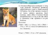 2) В новосибирском зоопарке в 2004 году родился Лигренок- детеныш африканского льва и бенгальской тигрицы. За сутки малыш съедал 7 кг мяса, одного кролика, 800г молока, одно яйцо. Сколько пищи потребовалось в год, если вес яйца n граммов, а вес кролика в 20 раз больше Решение: (7000 + 800 + n +20 n)