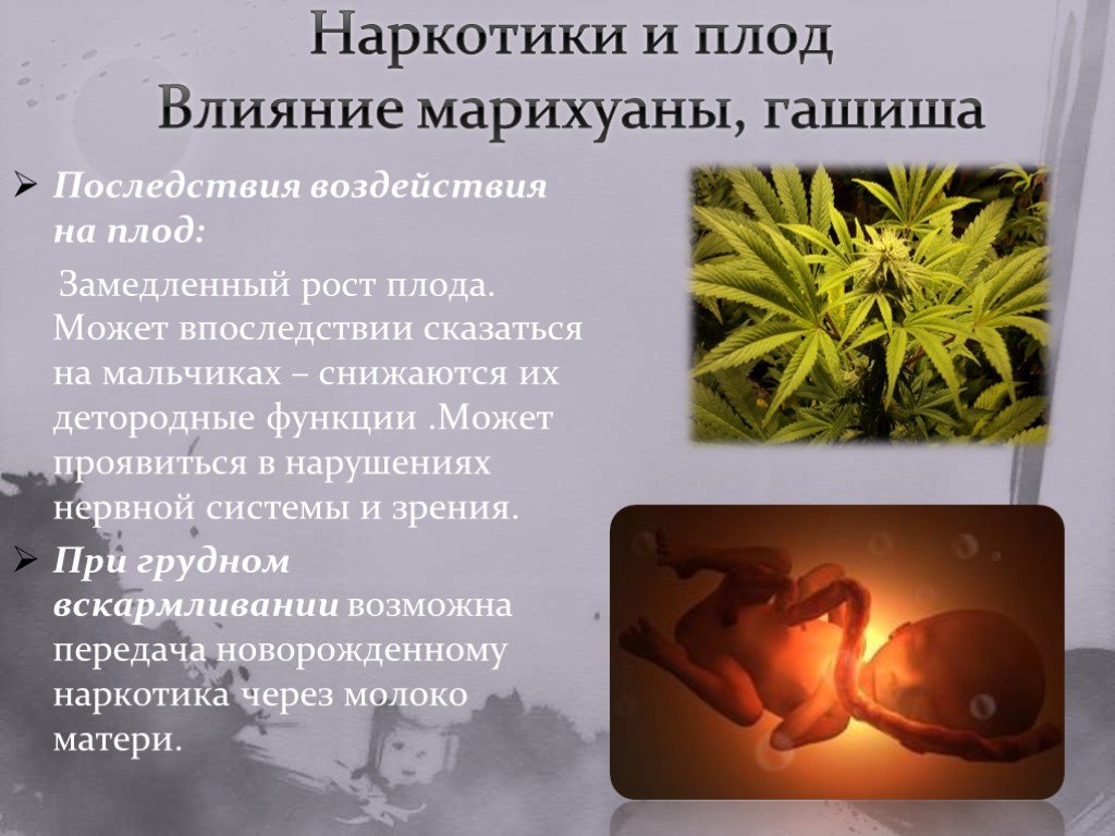 Марихуану влияет на сперму купить семена марихуаны с спб