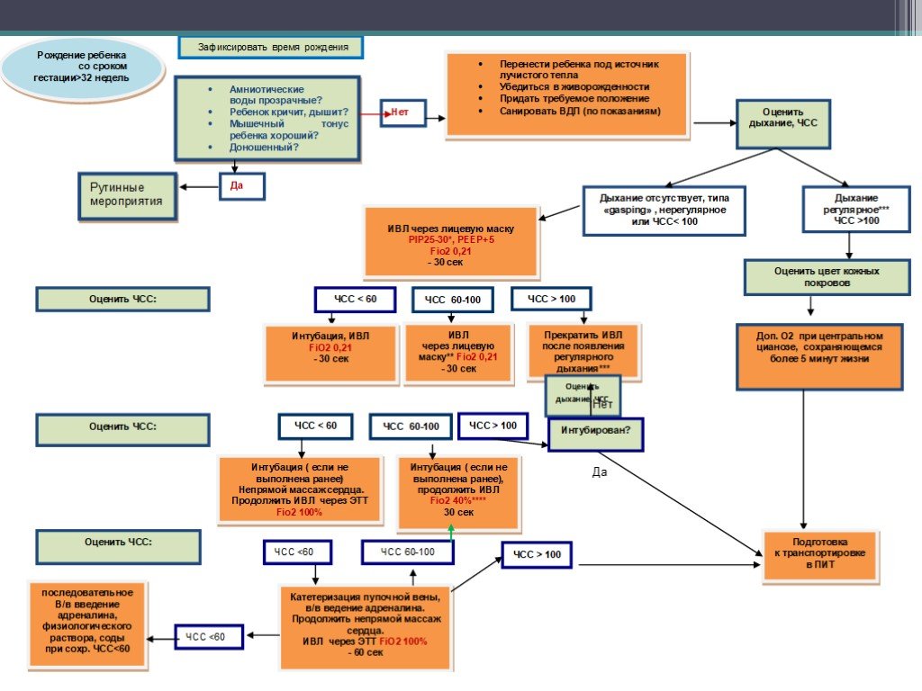 Вкладыш карта реанимации и стабилизации состояния новорожденных детей в родильном зале