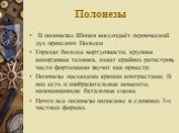 Полонезы. В полонезах Шопен воссоздаёт героический дух прошлого Польши Гораздо больше виртуозности, крупная аккордовая техника, охват крайних регистров, часто фортепиано звучит как оркестр. Полонезы насыщены яркими контрастами. В них есть и изобразительные моменты, напоминающие батальные сцены. Почт