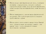 Шопен создал свой фортепианный стиль, в котором сочетается и виртуозность, и тонкий, глубокий лиризм. Он создал новые типы звучания фортепиано, новый колорит звучания фортепиано, новая техника в педали. Шопен переосмыслил разные жанры фортепианной миниатюры. По глубине прелюдия или экспромт приближа