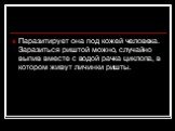 Паразитирует она под кожей человека. Заразиться риштой можно, случайно выпив вместе с водой рачка циклопа, в котором живут личинки ришты.